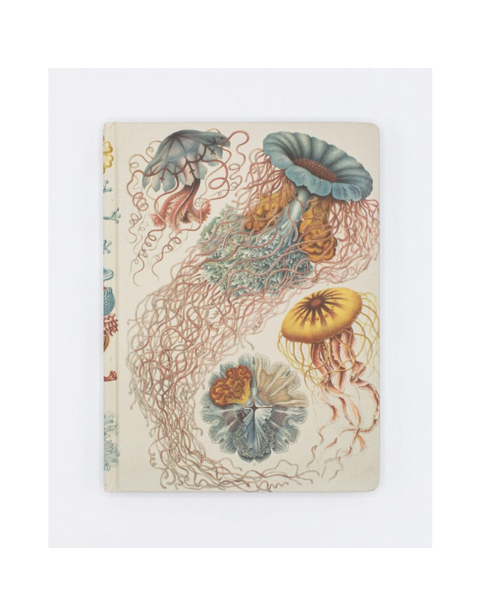 Cognitive Surplus Haeckel Jellyfish Hardcover 9x7 Lined Grid Page Notebook