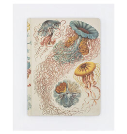 Cognitive Surplus Haeckel Jellyfish Hardcover 9x7 Lined Grid Page Notebook