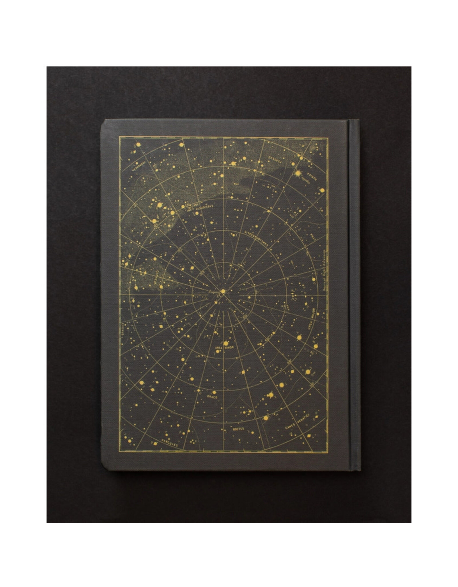 Cognitive Surplus The Night Sky Dark Matter 9x7 Blank Notebook
