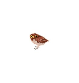 Tattly Owlet Temporary Tattoo Pair