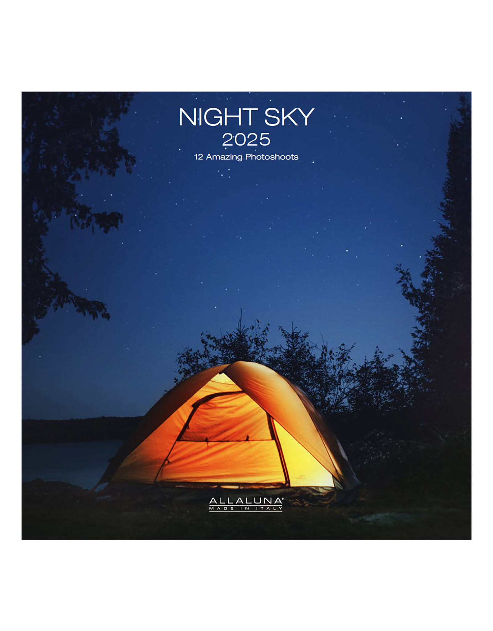 Allaluna 2025 Night Sky Wall Calendar