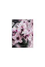 Allaluna Flowers 2025 Desk Calendar