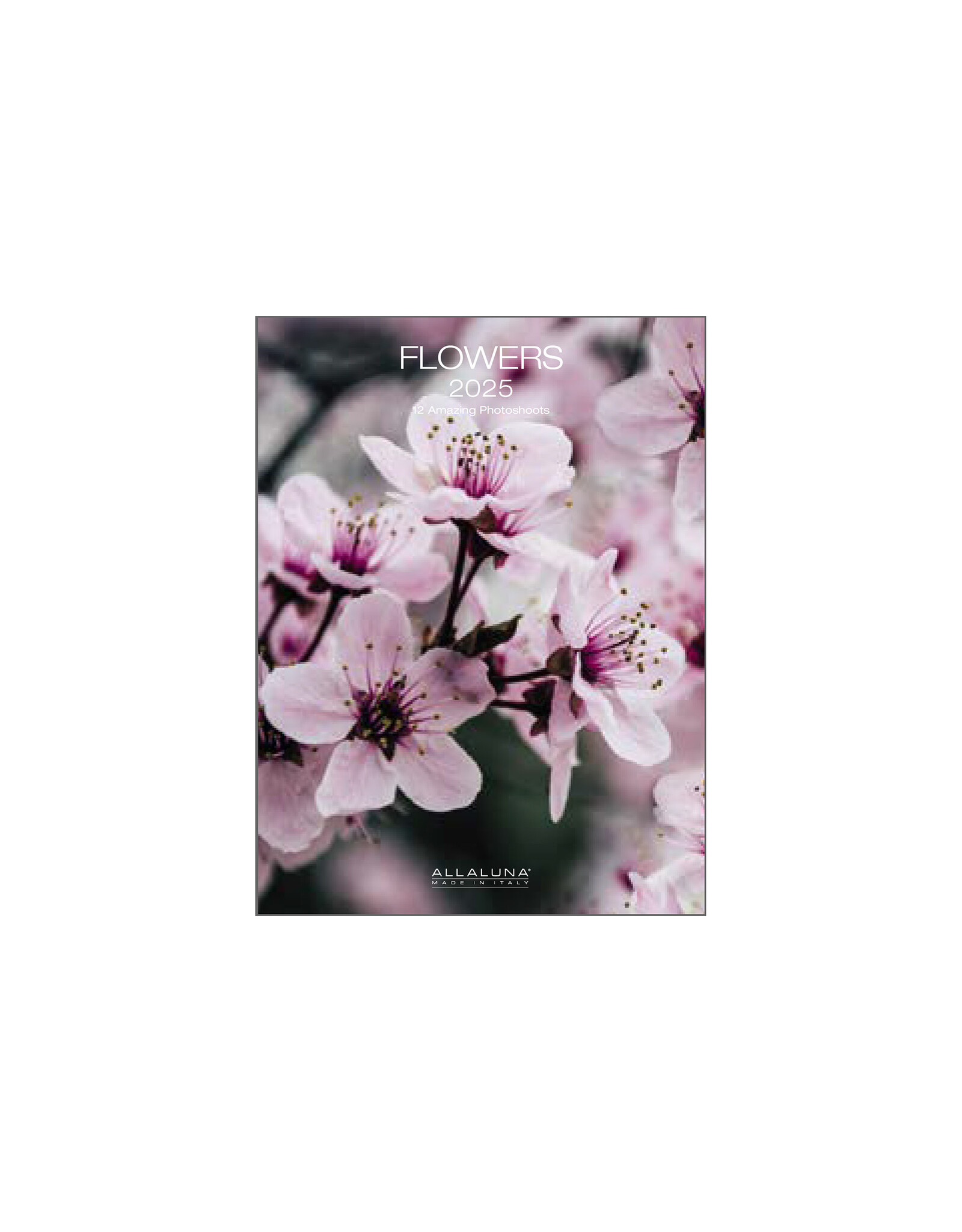 Allaluna Flowers 2025 Desk Calendar