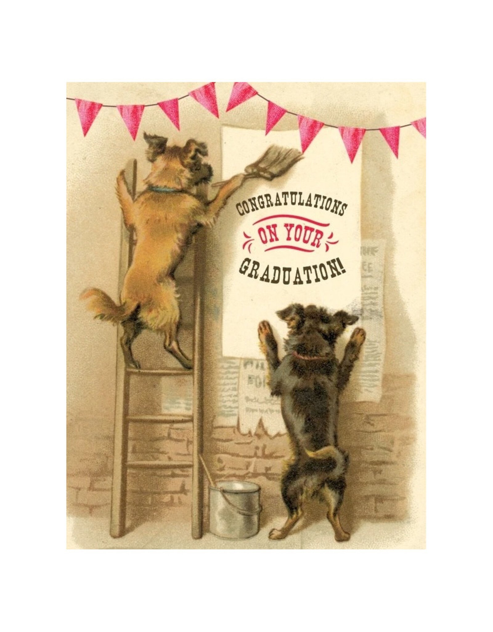 Cartolina Congratulations On Your Graduation A2 Card CC673