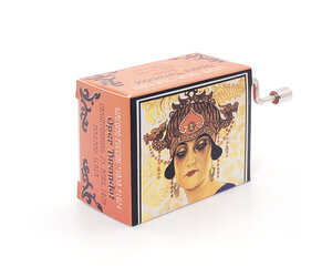 fridolin-turandot-nessun-dorma