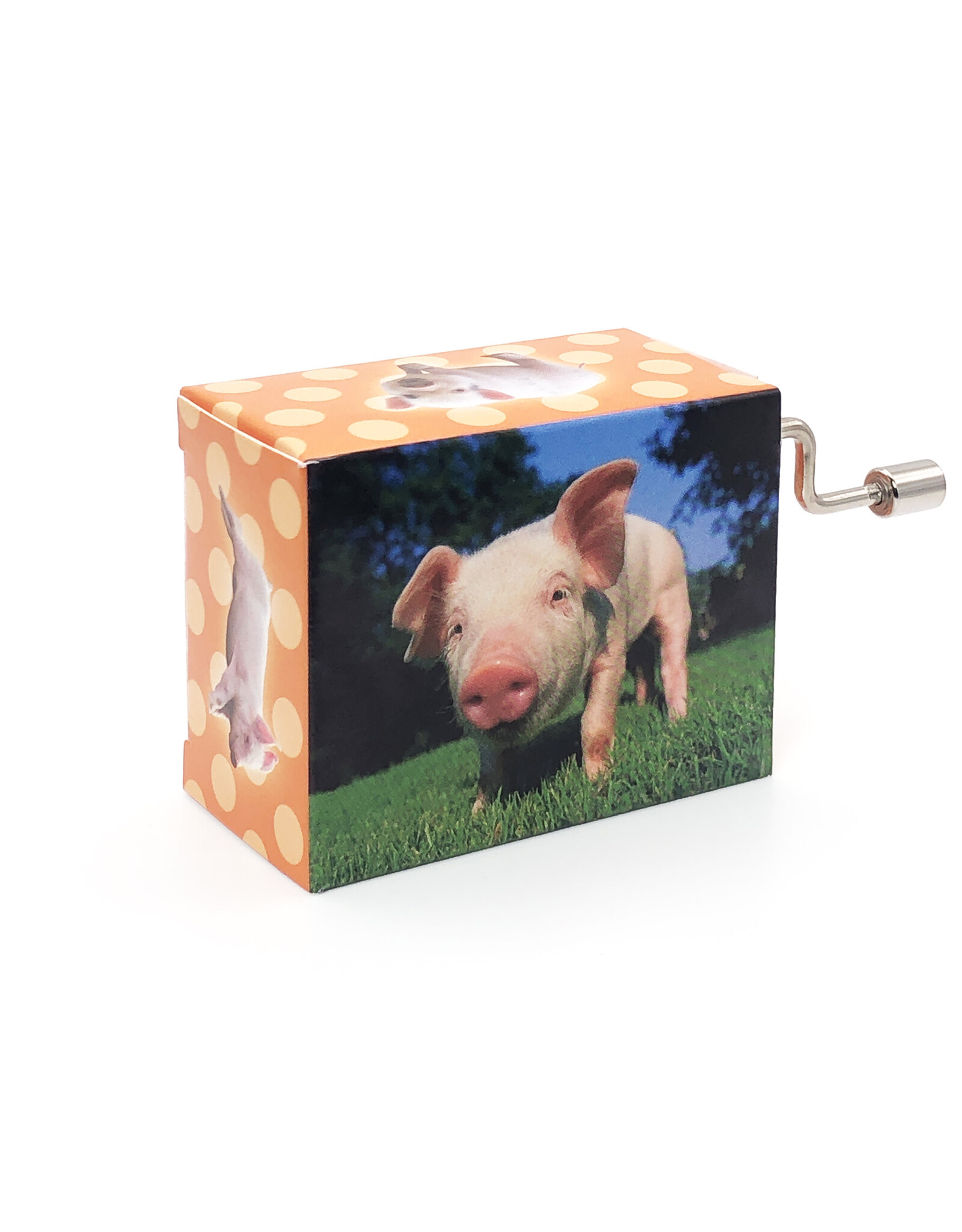 Fridolin Pig on Meadow Happy Birthday Music Box