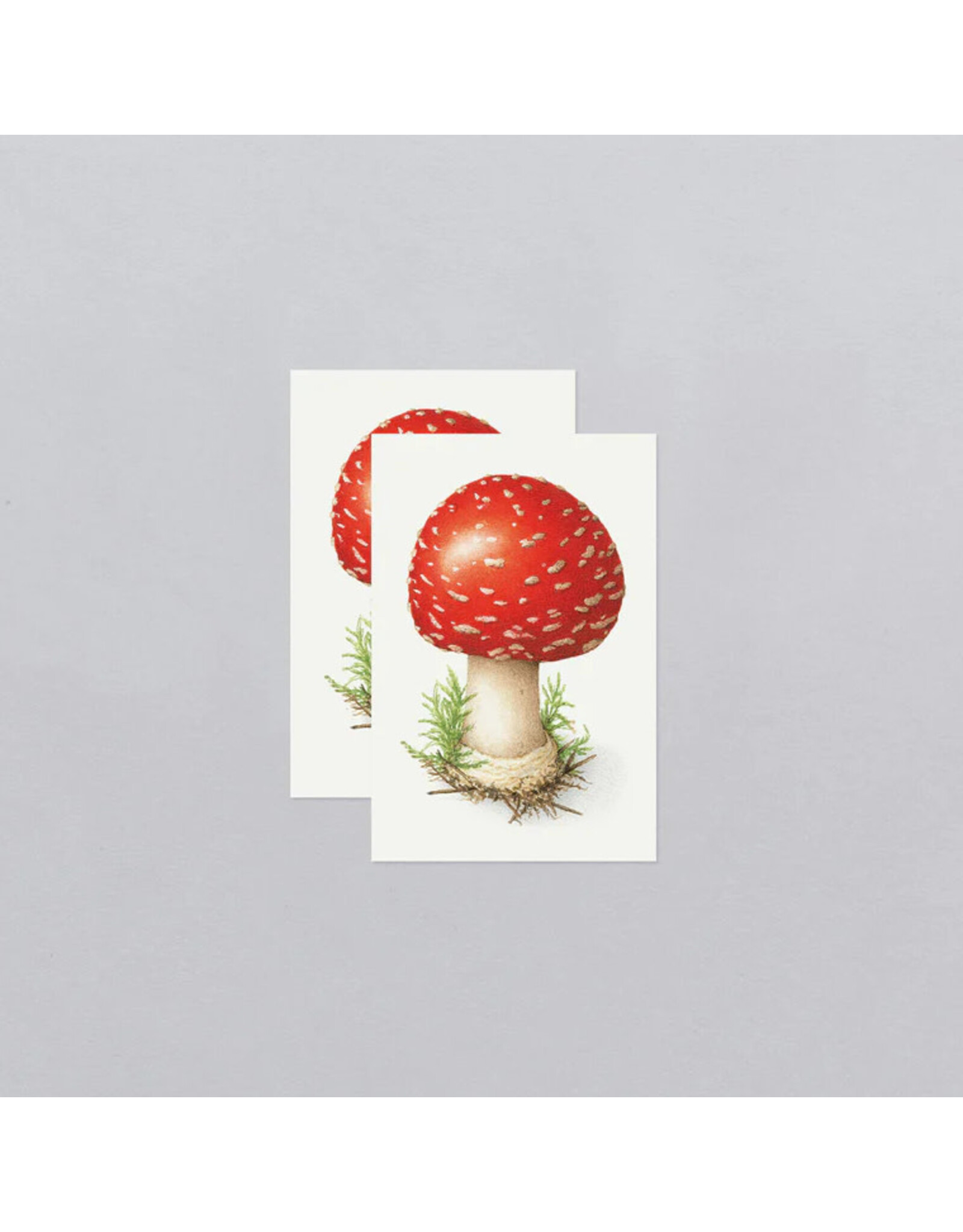 Tattly Toadstool Temporary Tattoo Pair