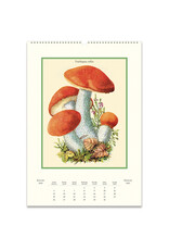 Cavallini Papers & Co. 2025 Wall Calendar Champignons