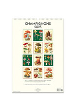 Cavallini Papers & Co. 2025 Wall Calendar Champignons