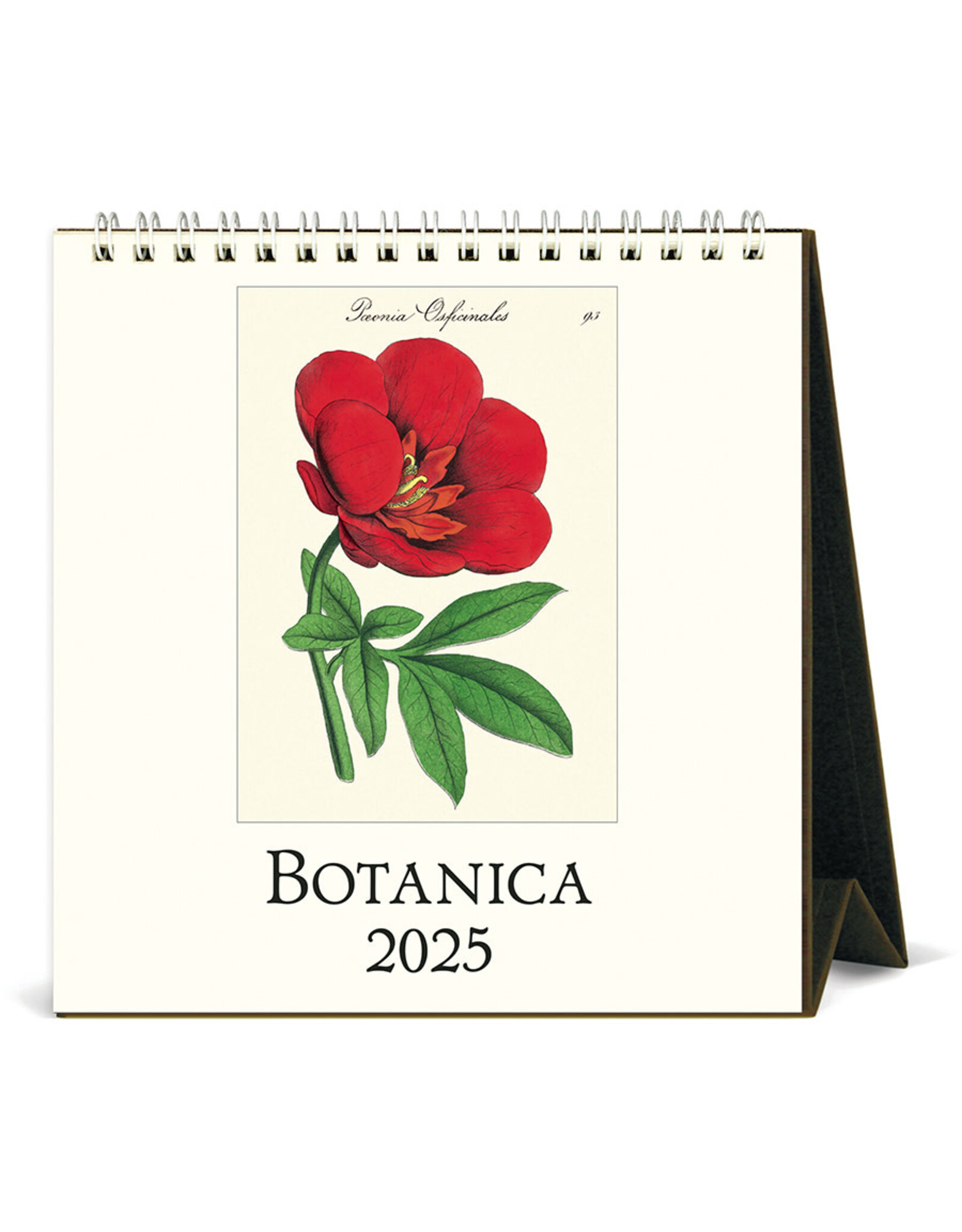 Cavallini Papers & Co. 2025 Desk Calendar Botanica