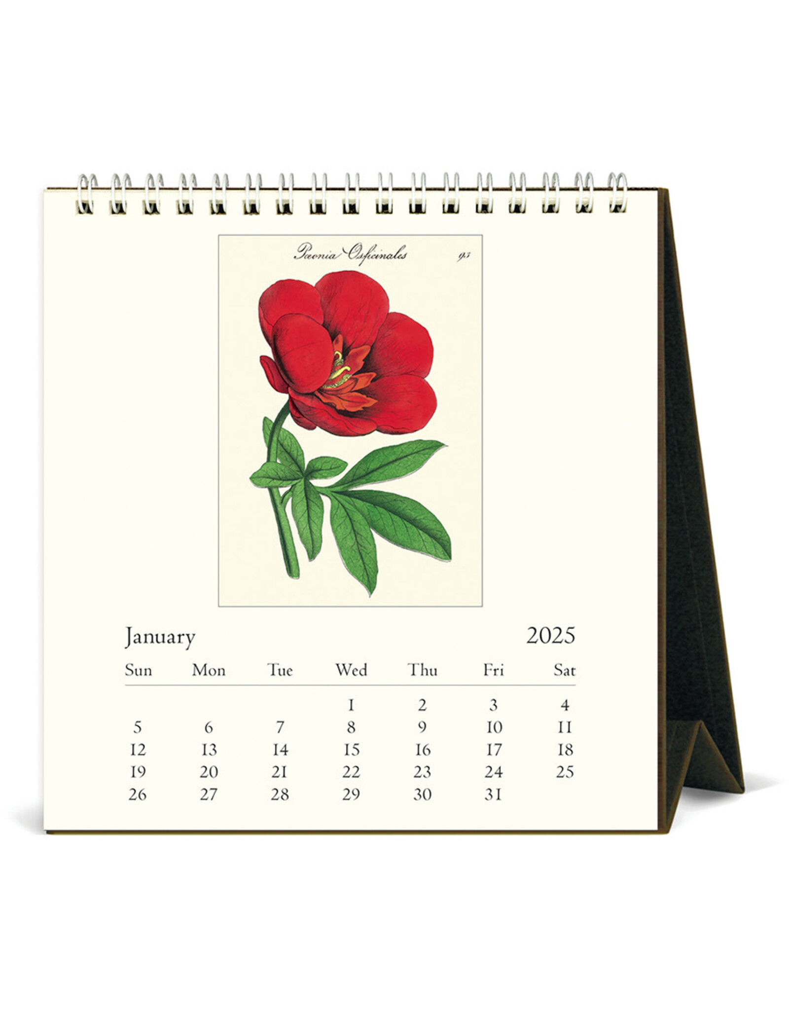 Cavallini Papers & Co. 2025 Desk Calendar Botanica