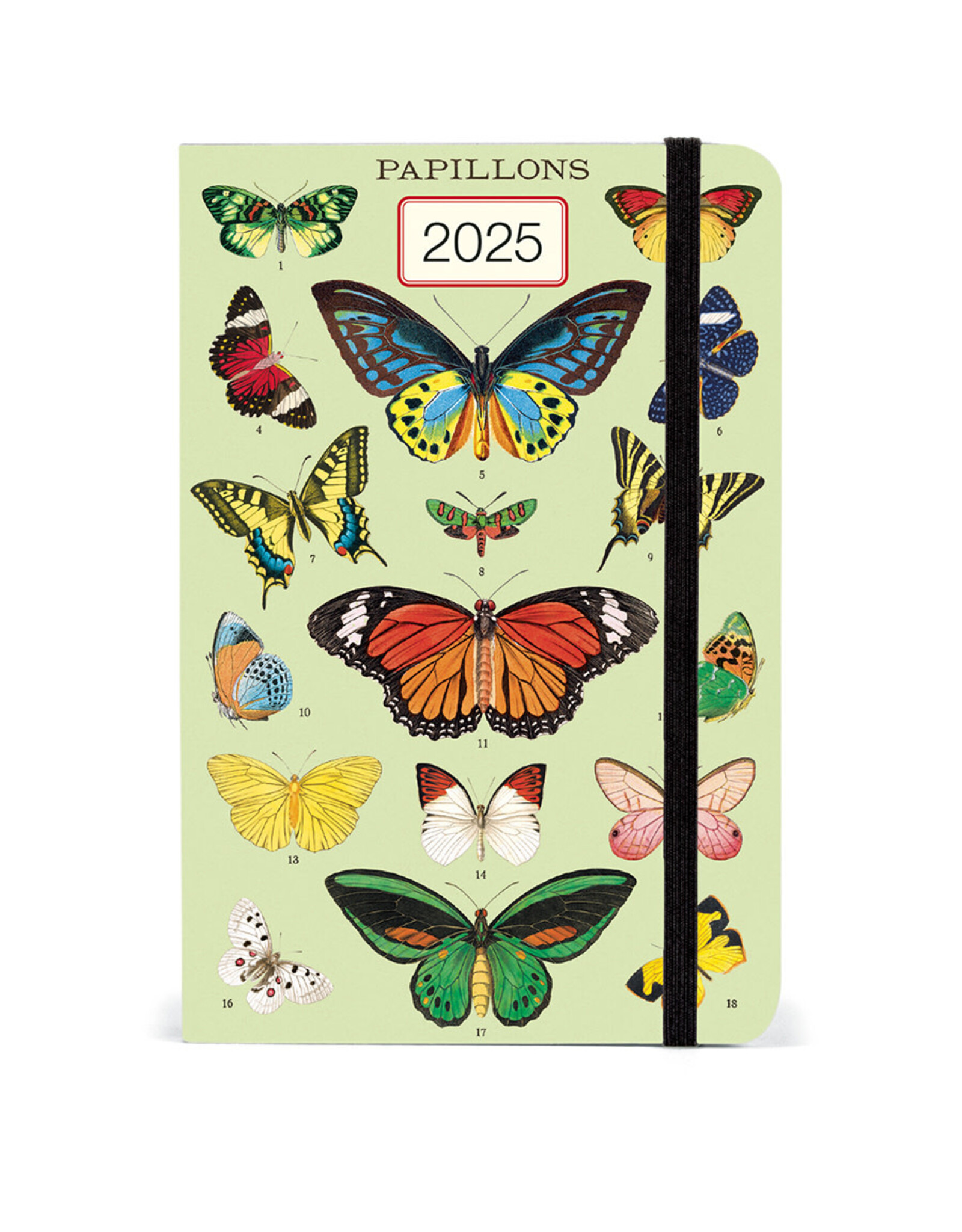 Cavallini Papers & Co. 2025 Weekly Planner Butterflies