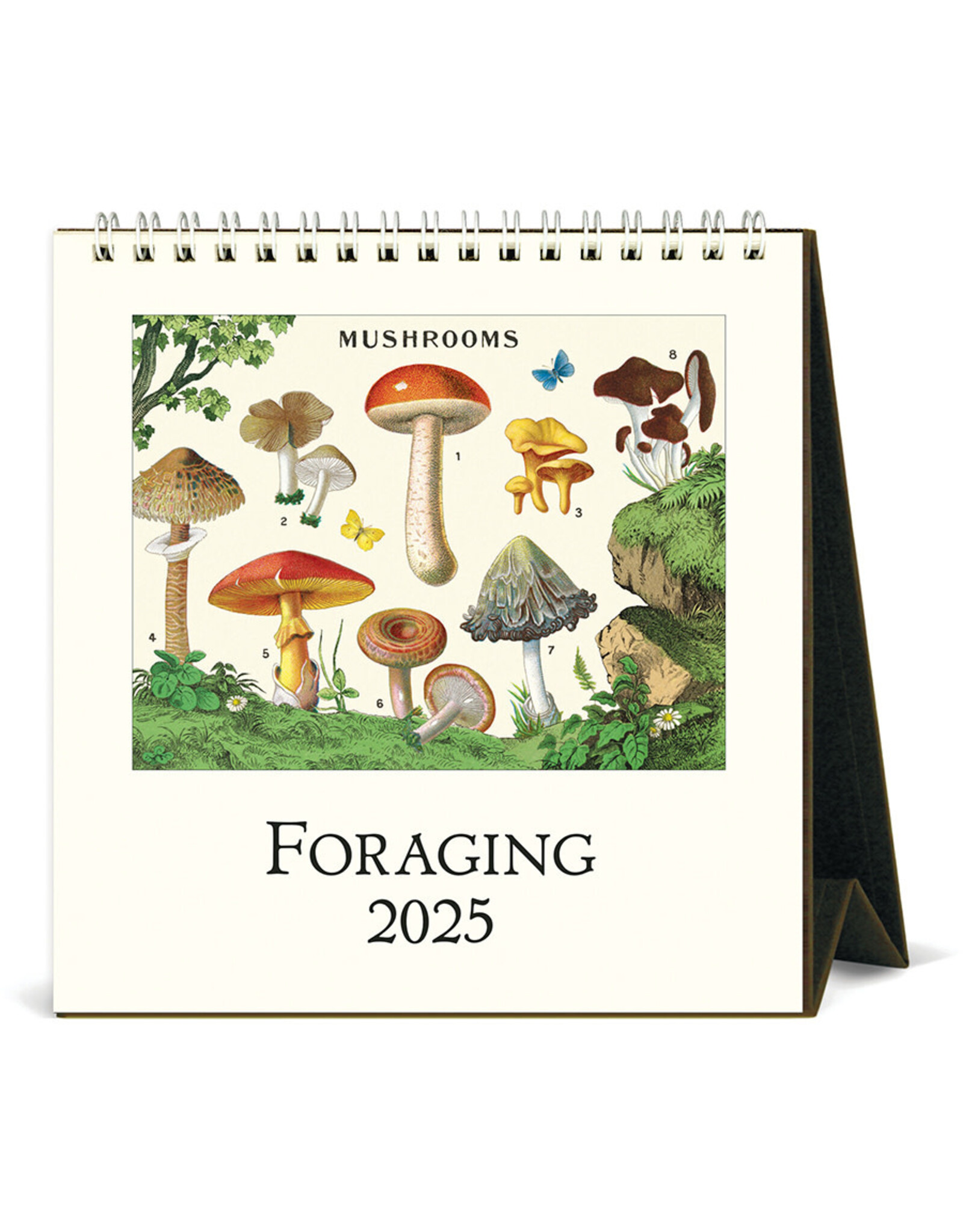 Cavallini Papers & Co. 2025 Desk Calendar Foraging