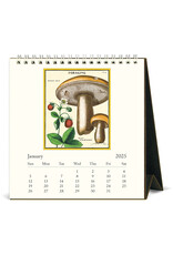 Cavallini Papers & Co. 2025 Desk Calendar Foraging