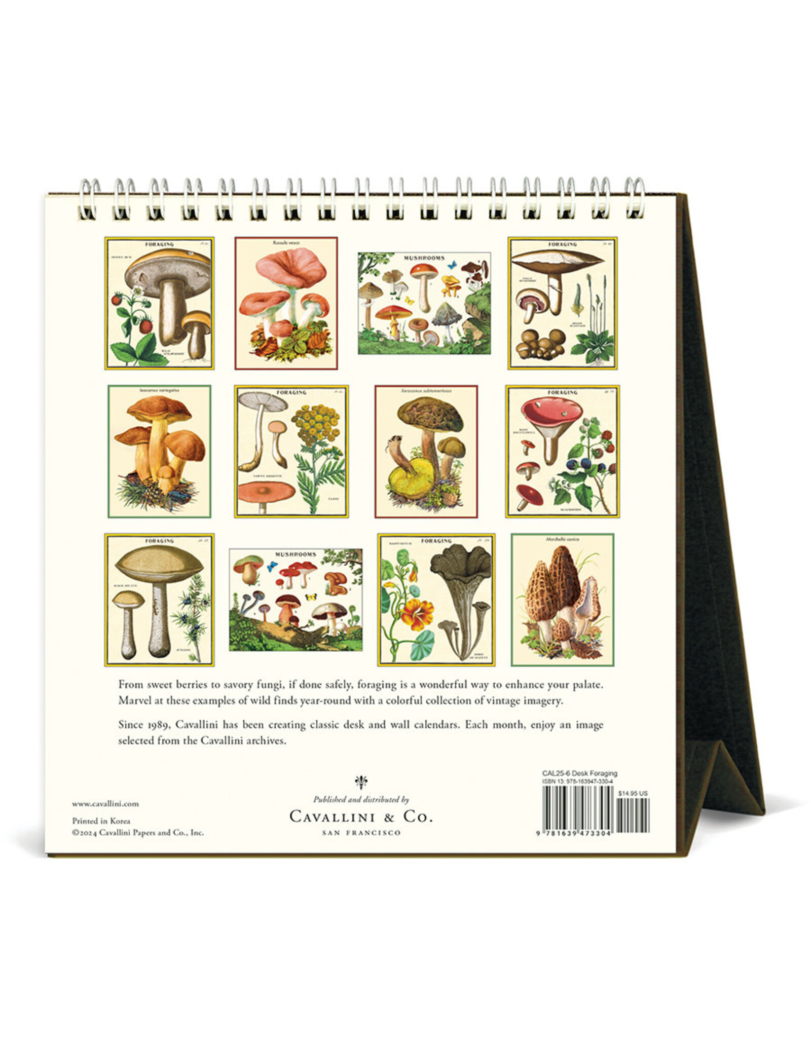 Cavallini Papers & Co. 2025 Desk Calendar Foraging