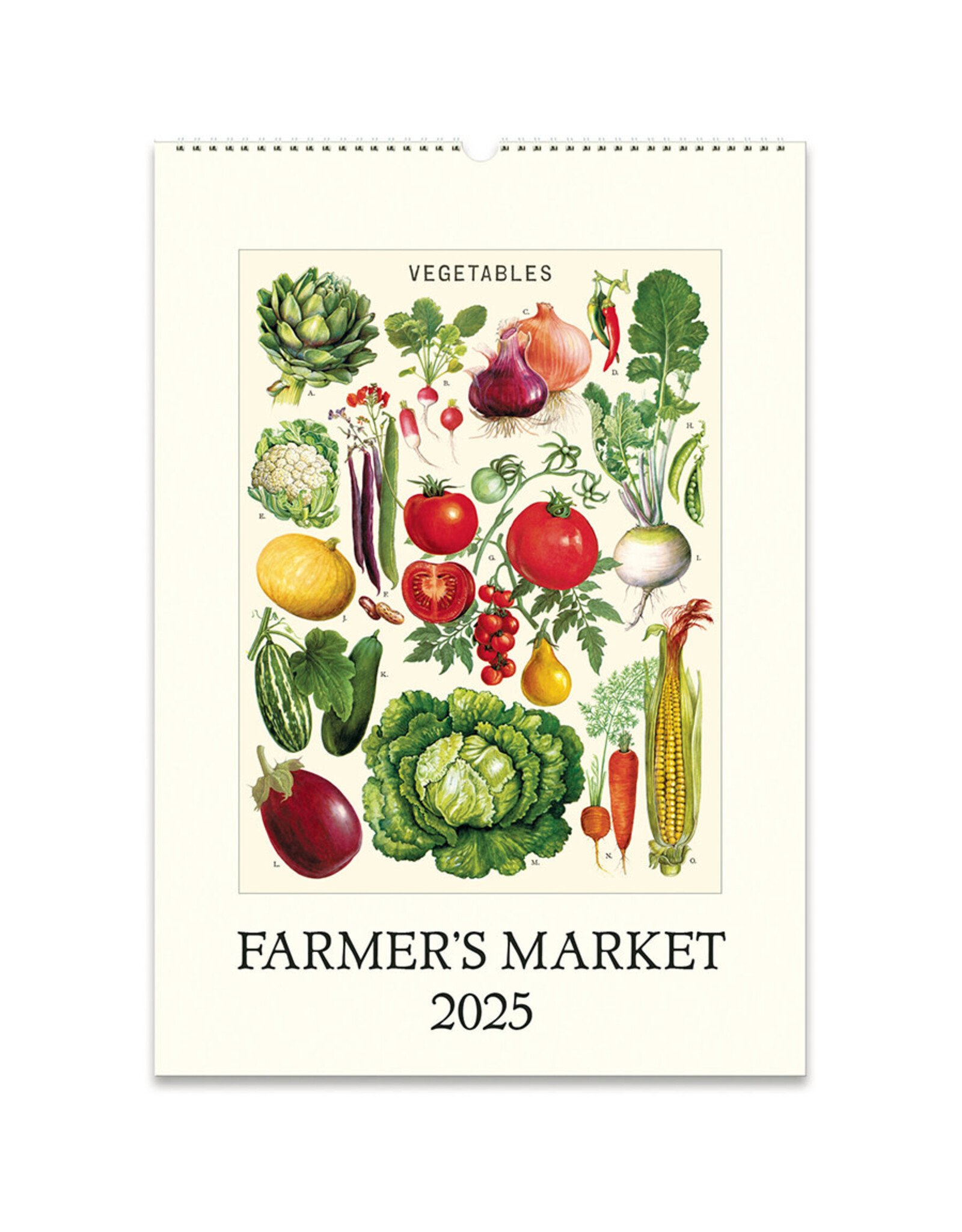 Cavallini Papers & Co. 2025 Wall Calendar Farmer's Market