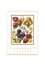 Cavallini Papers & Co. 2025 Wall Calendar Farmer's Market