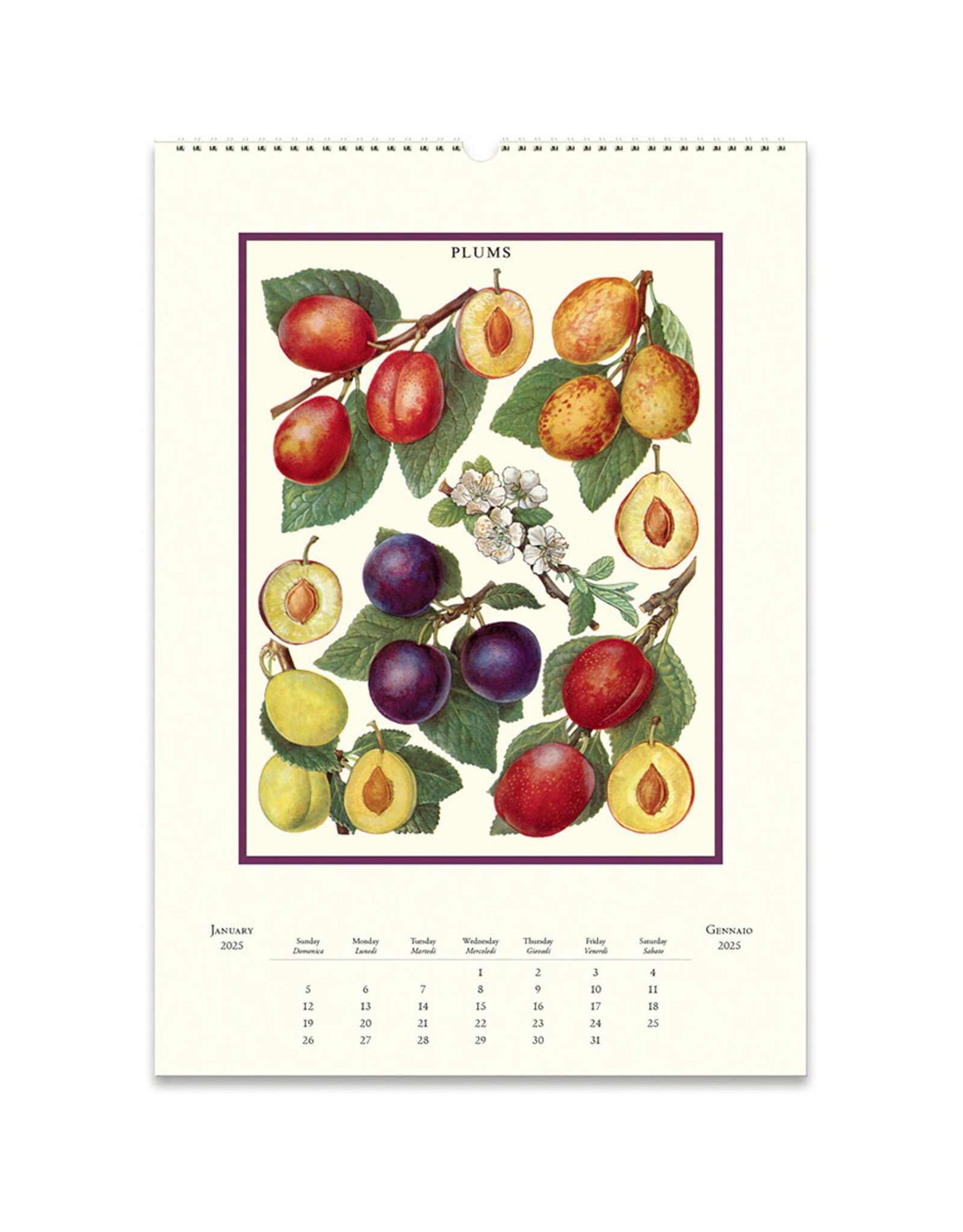 Cavallini Papers & Co. 2025 Wall Calendar Farmer's Market