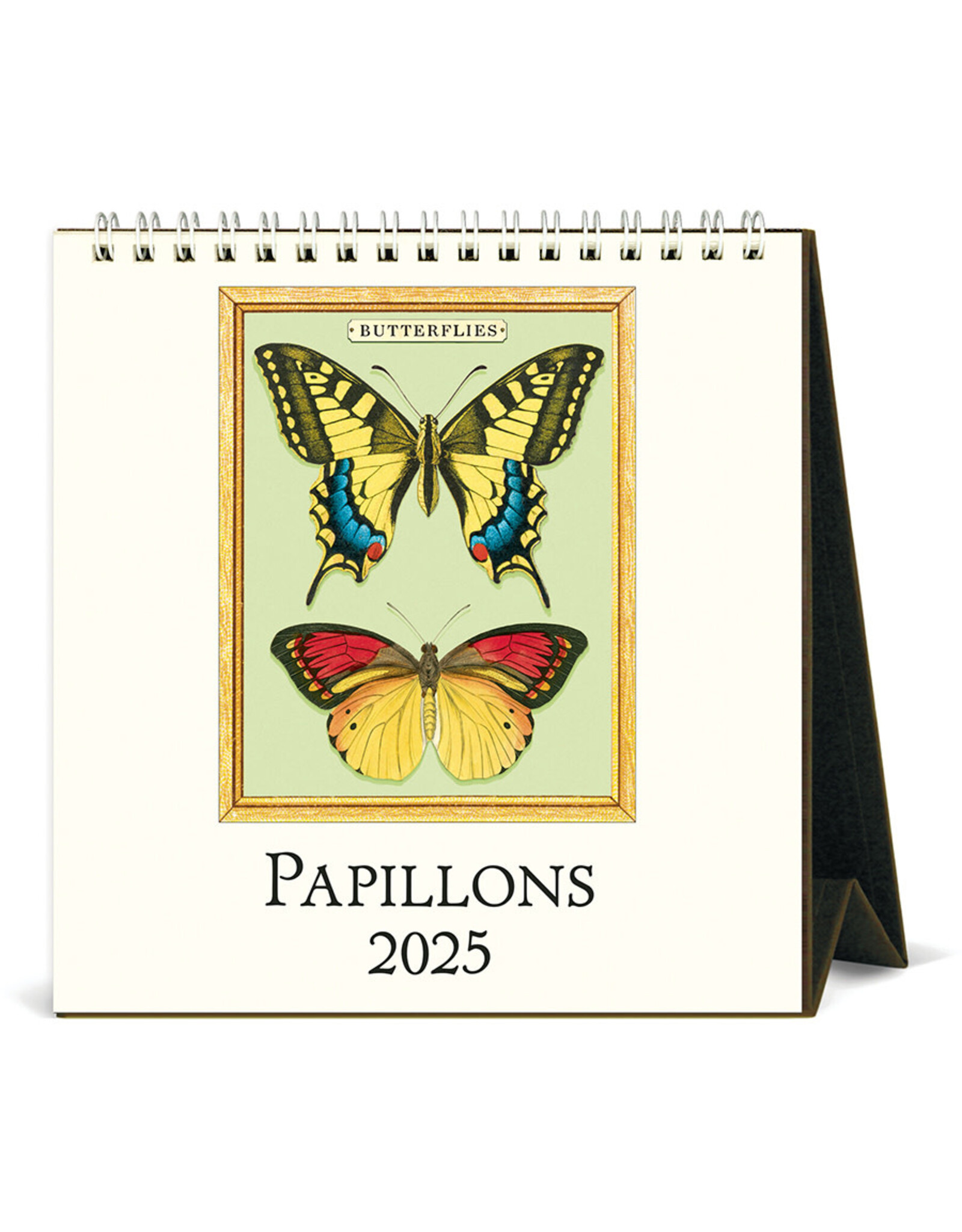 Cavallini Papers & Co. 2025 Desk Calendar Papillons