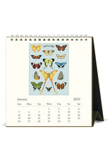 Cavallini Papers & Co. 2025 Desk Calendar Papillons