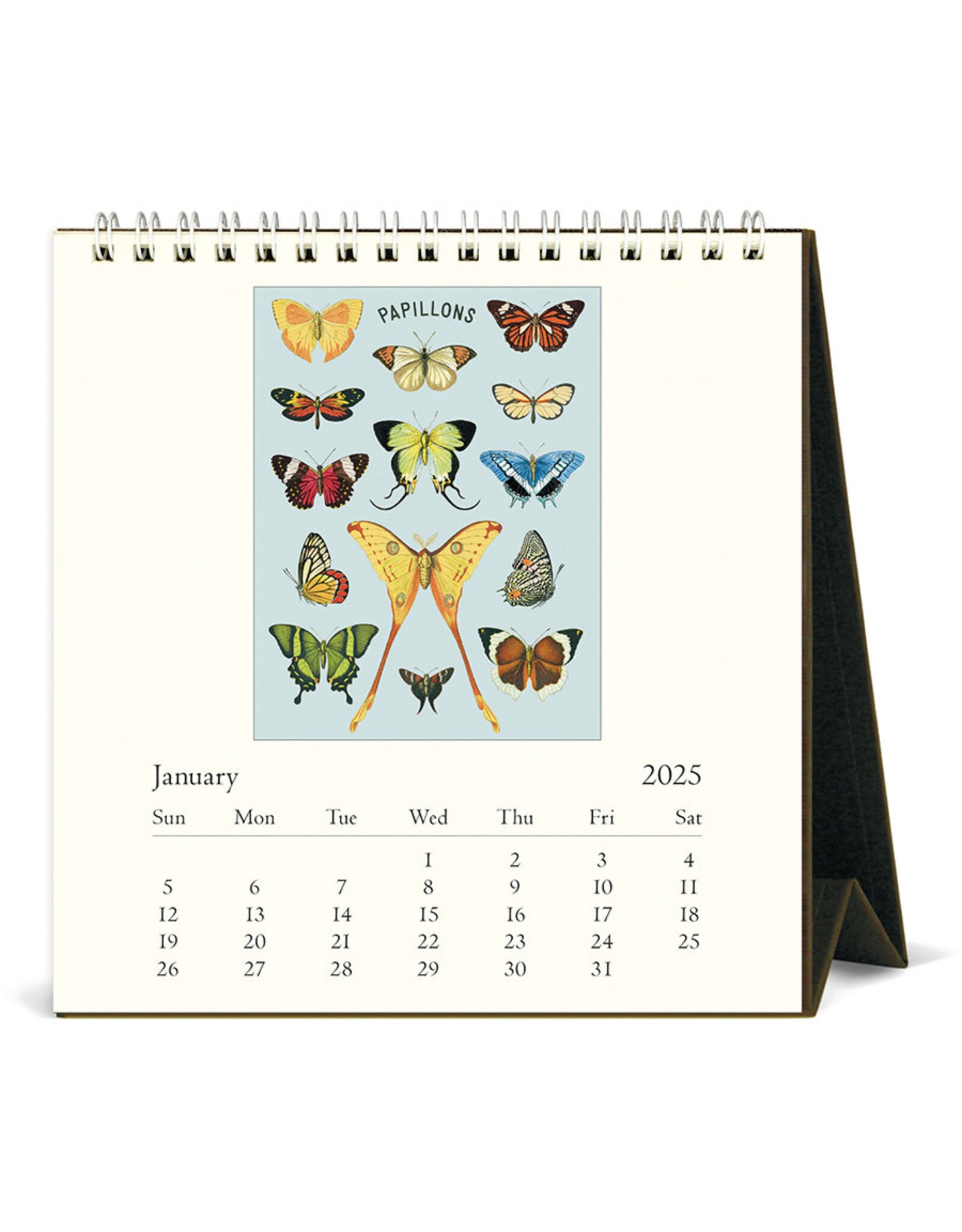 Cavallini Papers & Co. 2025 Desk Calendar Papillons