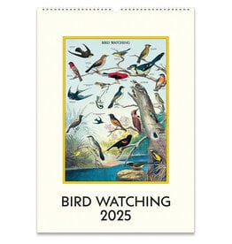 Cavallini Papers & Co. 2025 Wall Calendar Birdwatching