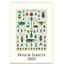 Cavallini Papers & Co. 2025 Wall Calendar Bugs & Insects