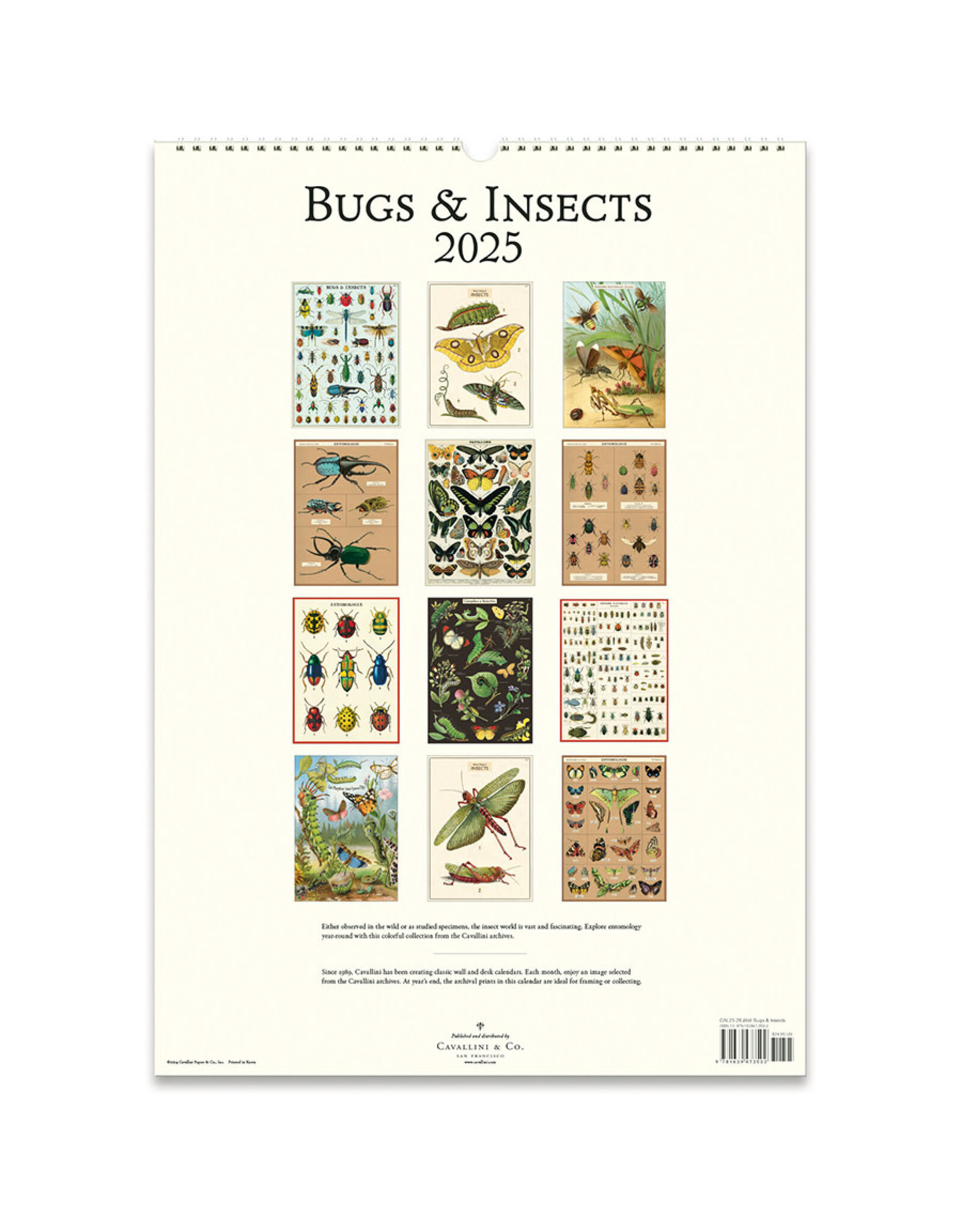 Cavallini Papers & Co. 2025 Wall Calendar Bugs & Insects