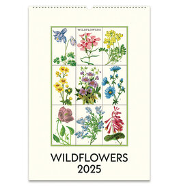 Cavallini Papers & Co. 2025 Wall Calendar Wildflowers
