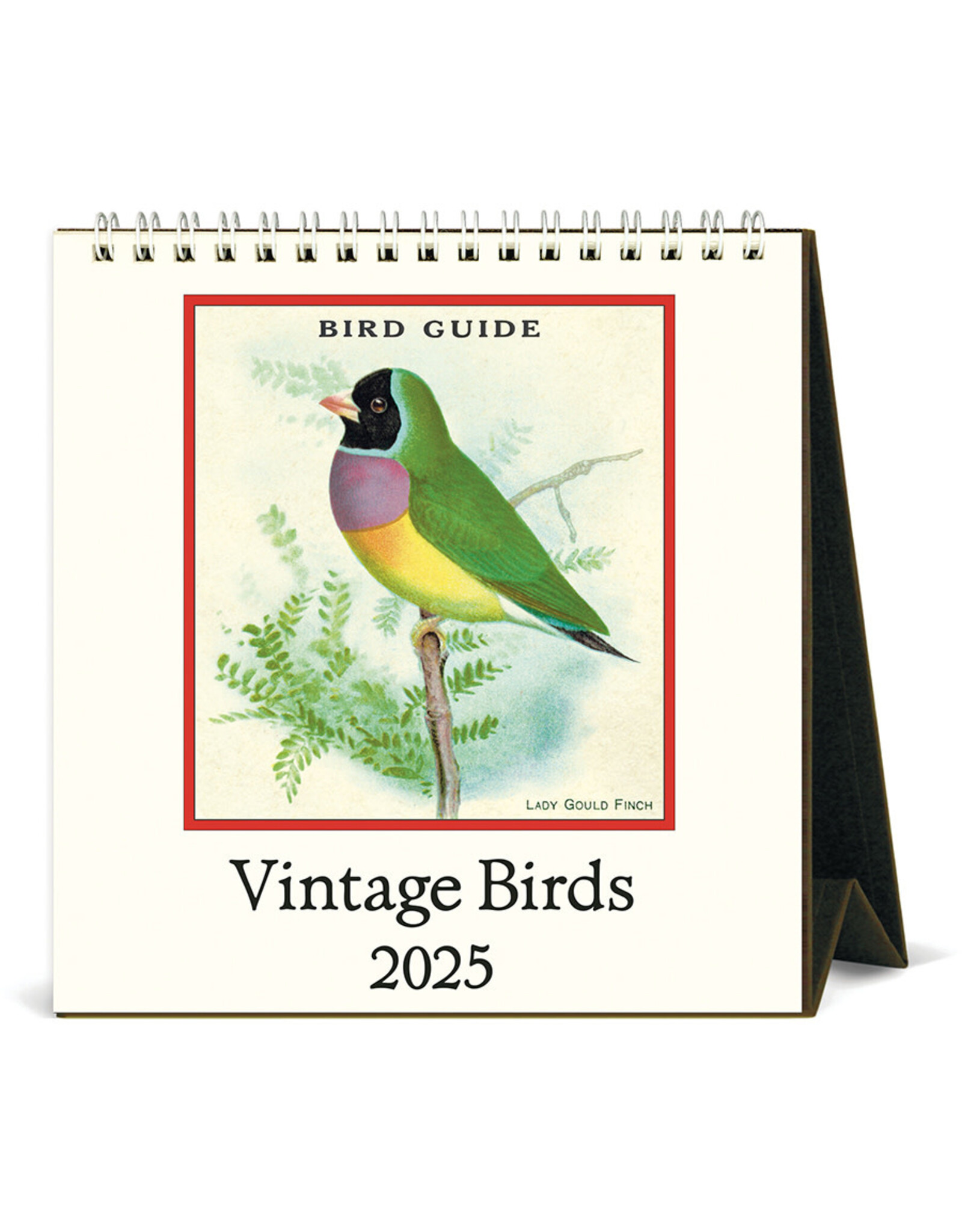 Cavallini Papers & Co. 2025 Desk Calendar Vintage Birds