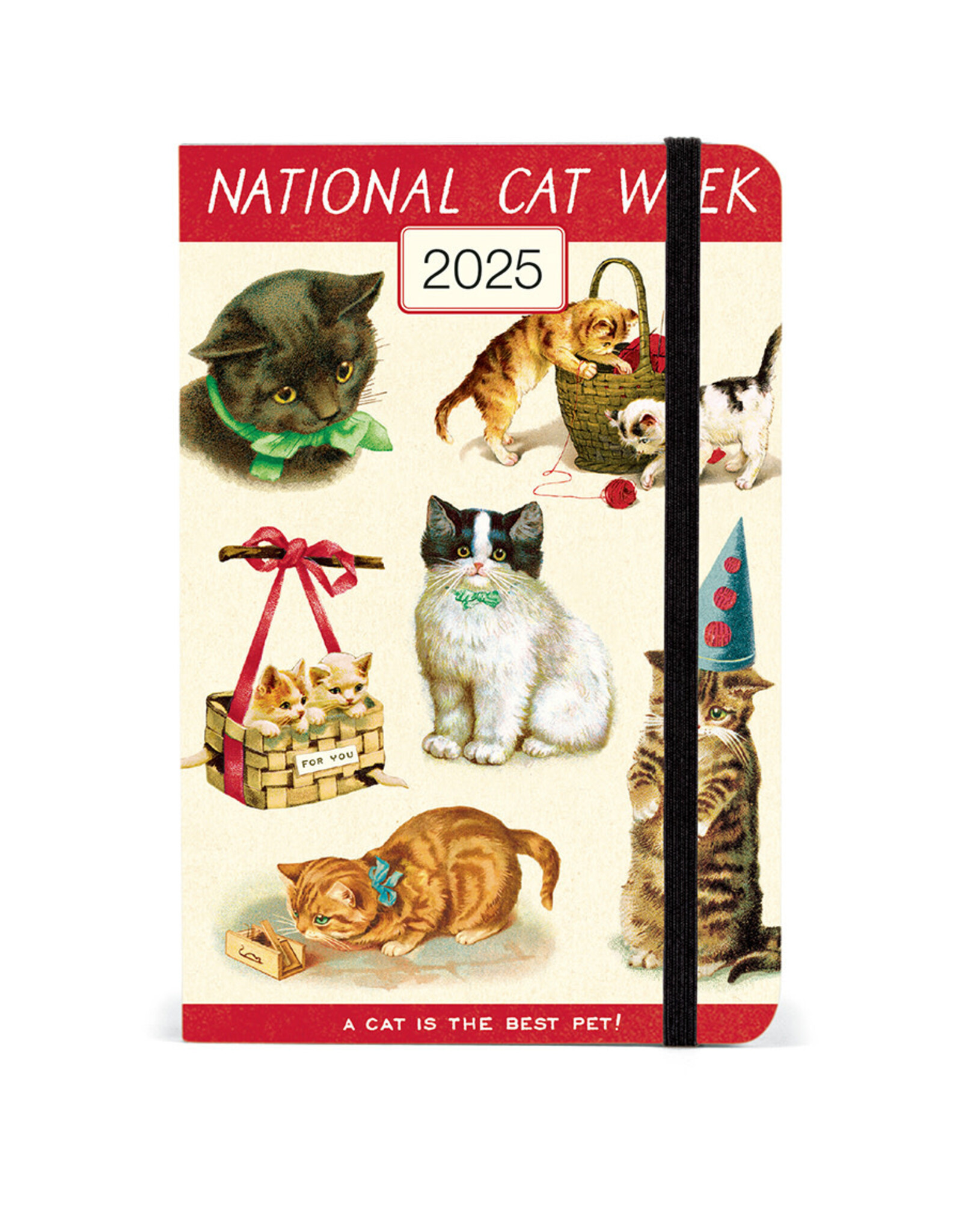 Cavallini Papers & Co. 2025 Weekly Planner Cat