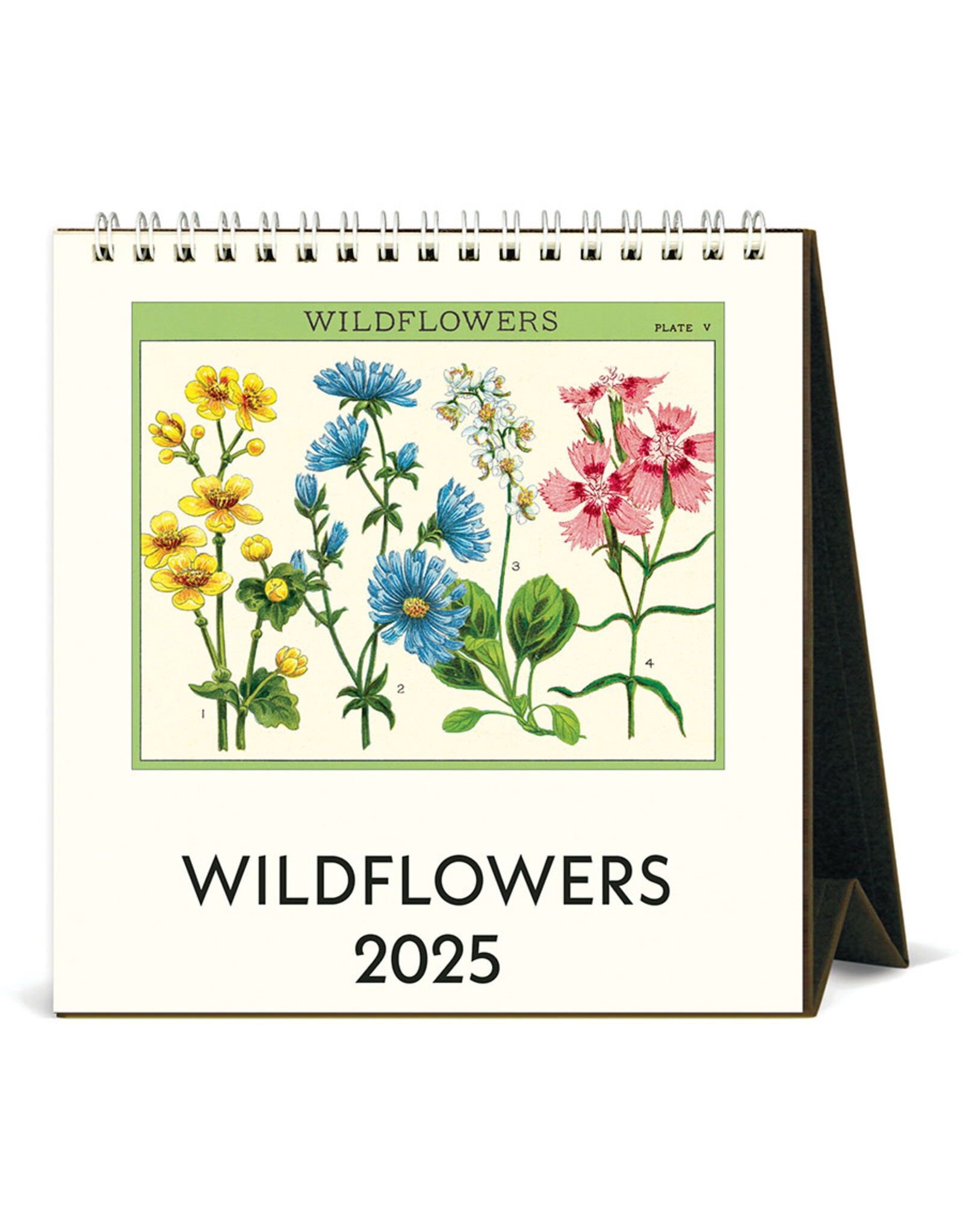 Cavallini Papers & Co. 2025 Desk Calendar Wildflowers