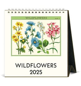 Cavallini Papers & Co. 2025 Desk Calendar Wildflowers
