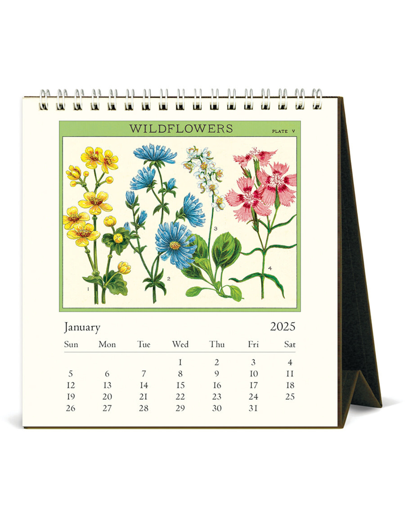 Cavallini Papers & Co. 2025 Desk Calendar Wildflowers