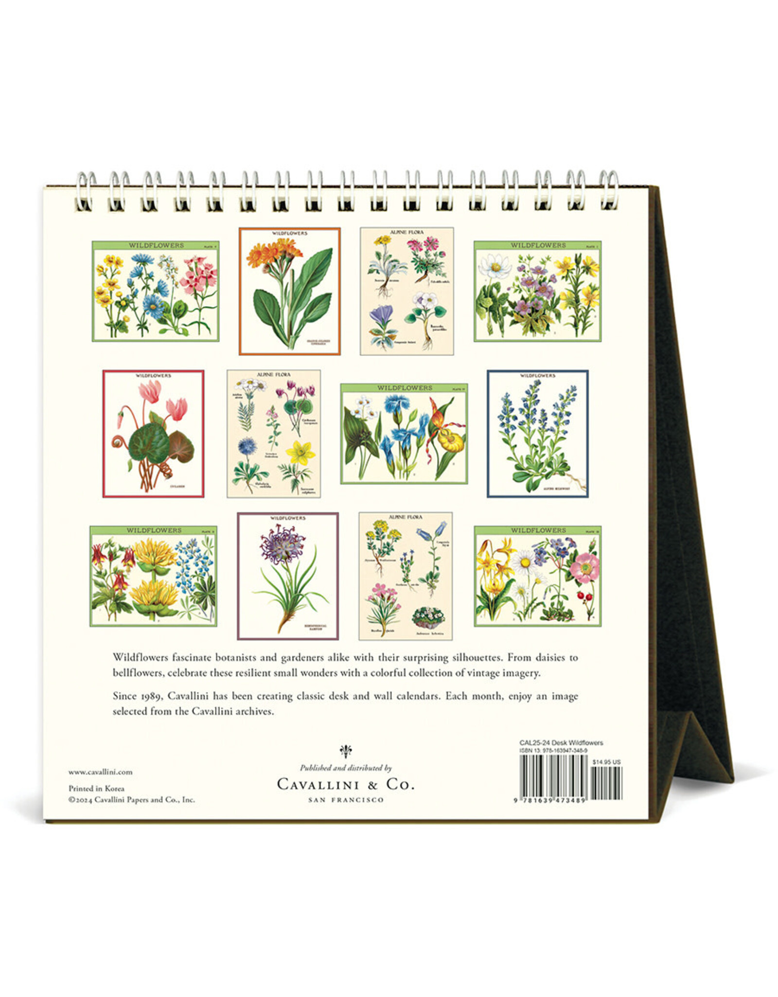 Cavallini Papers & Co. 2025 Desk Calendar Wildflowers