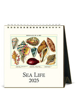 Cavallini Papers & Co. 2025 Desk Calendar Sea Life