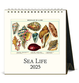 Cavallini Papers & Co. 2025 Desk Calendar Sea Life