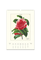 Cavallini Papers & Co. 2025 Wall Calendar Botanica