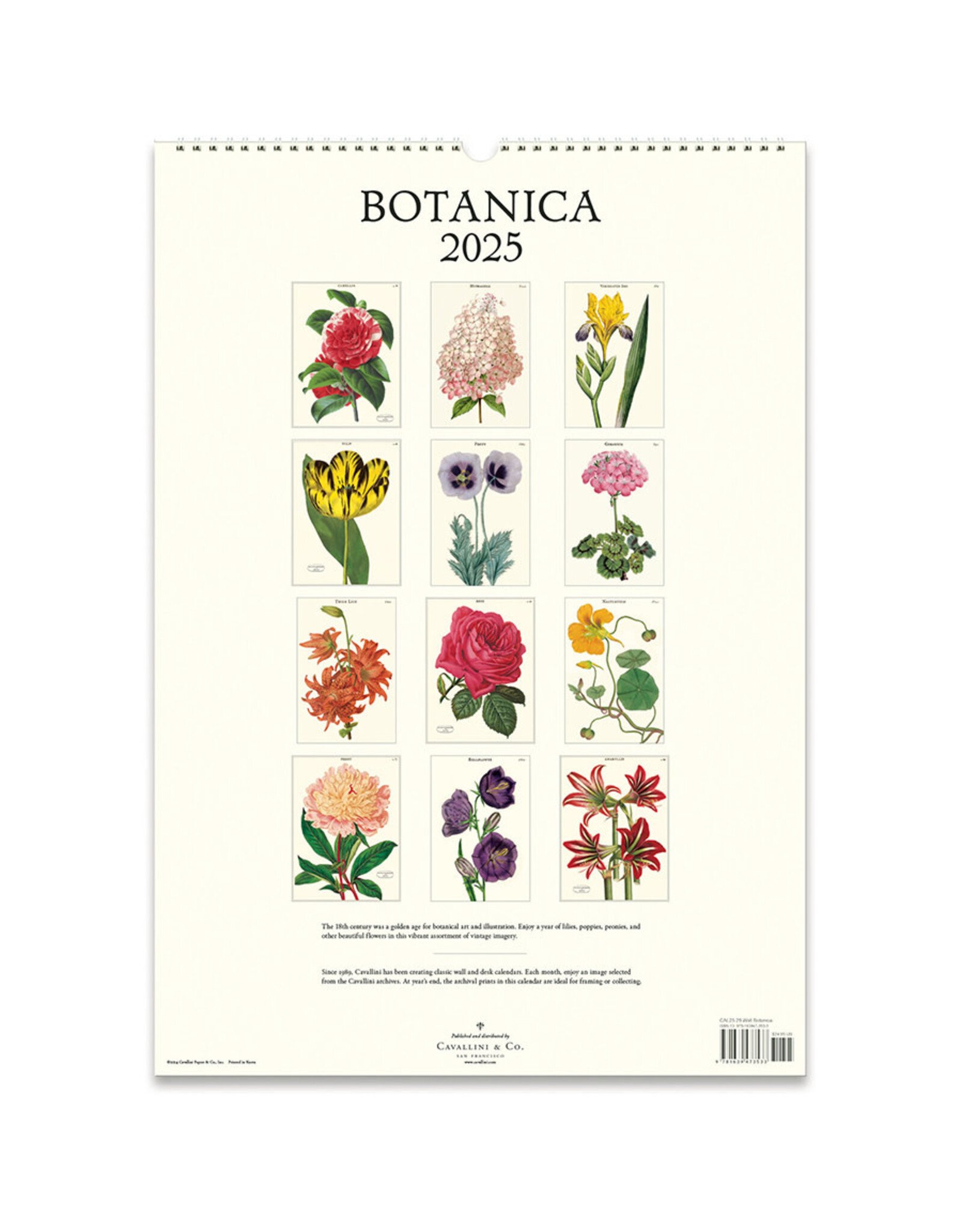 Cavallini Papers & Co. 2025 Wall Calendar Botanica