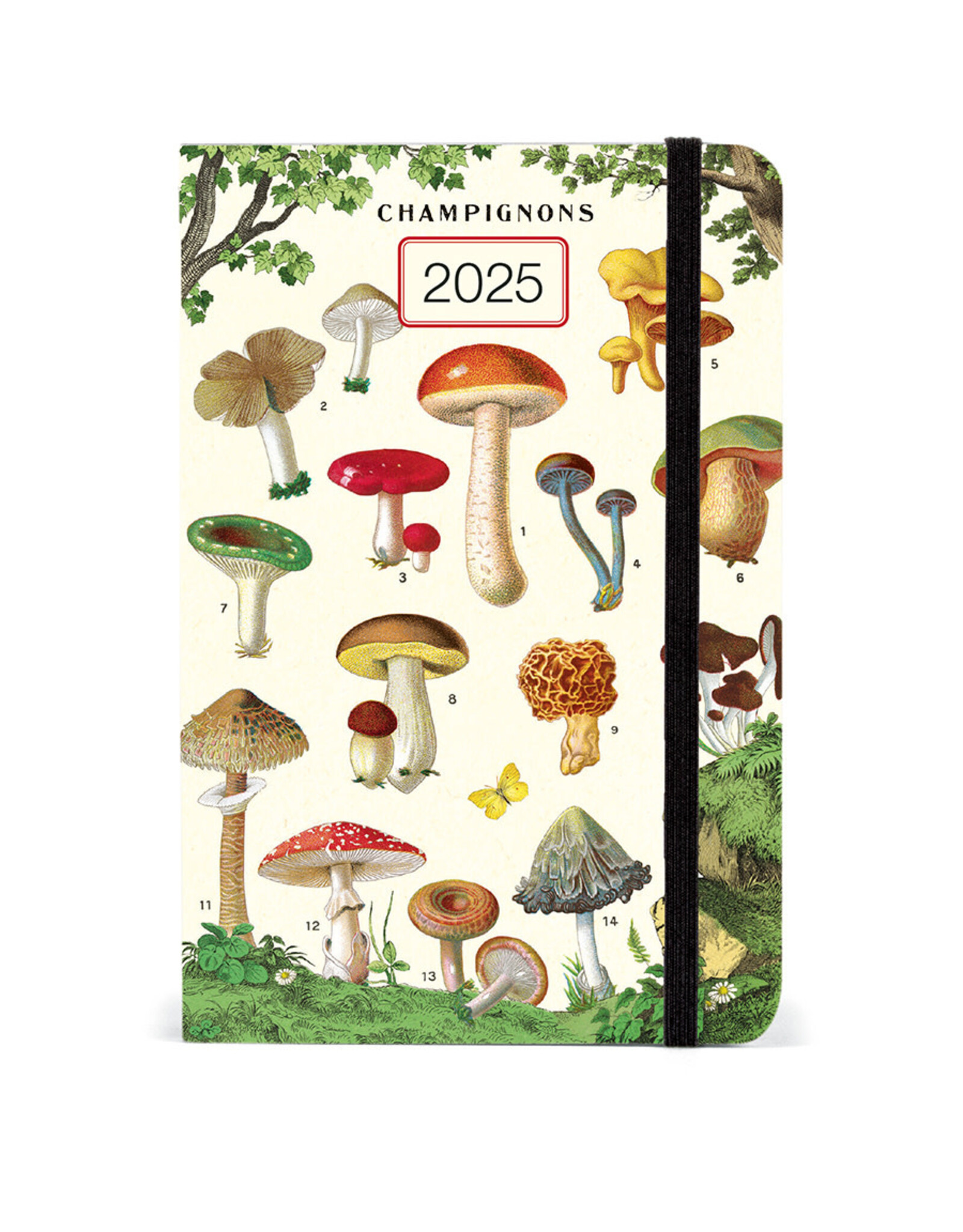 Cavallini Papers & Co. 2025 Weekly Planner Mushrooms  AG2025/MUSH