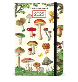 Cavallini Papers & Co. 2025 Weekly Planner Mushrooms