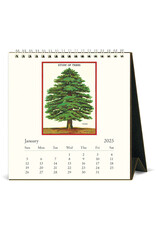 Cavallini Papers & Co. 2025 Desk Calendar Arboretum
