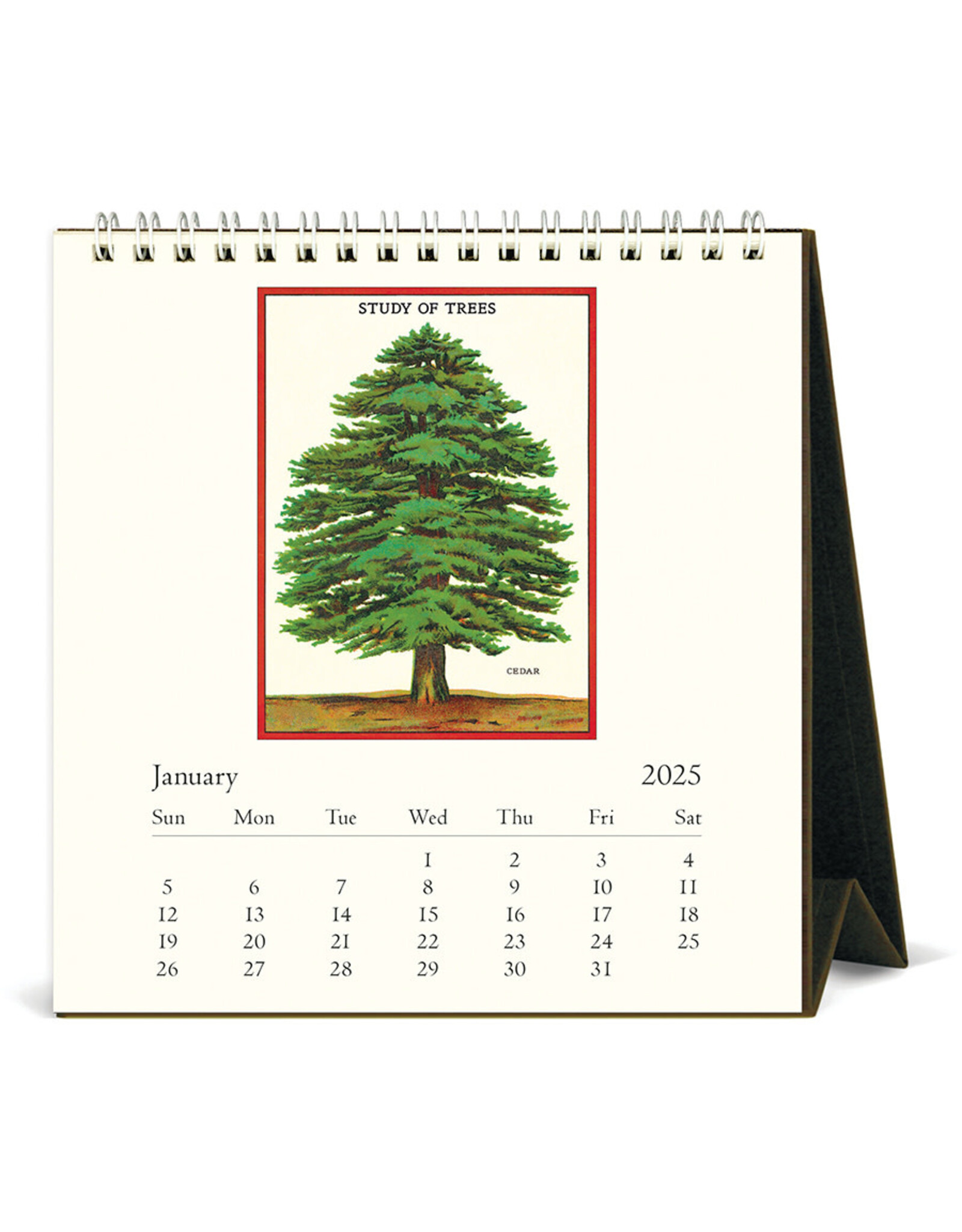 Cavallini Papers & Co. 2025 Desk Calendar Arboretum