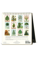 Cavallini Papers & Co. 2025 Desk Calendar Arboretum