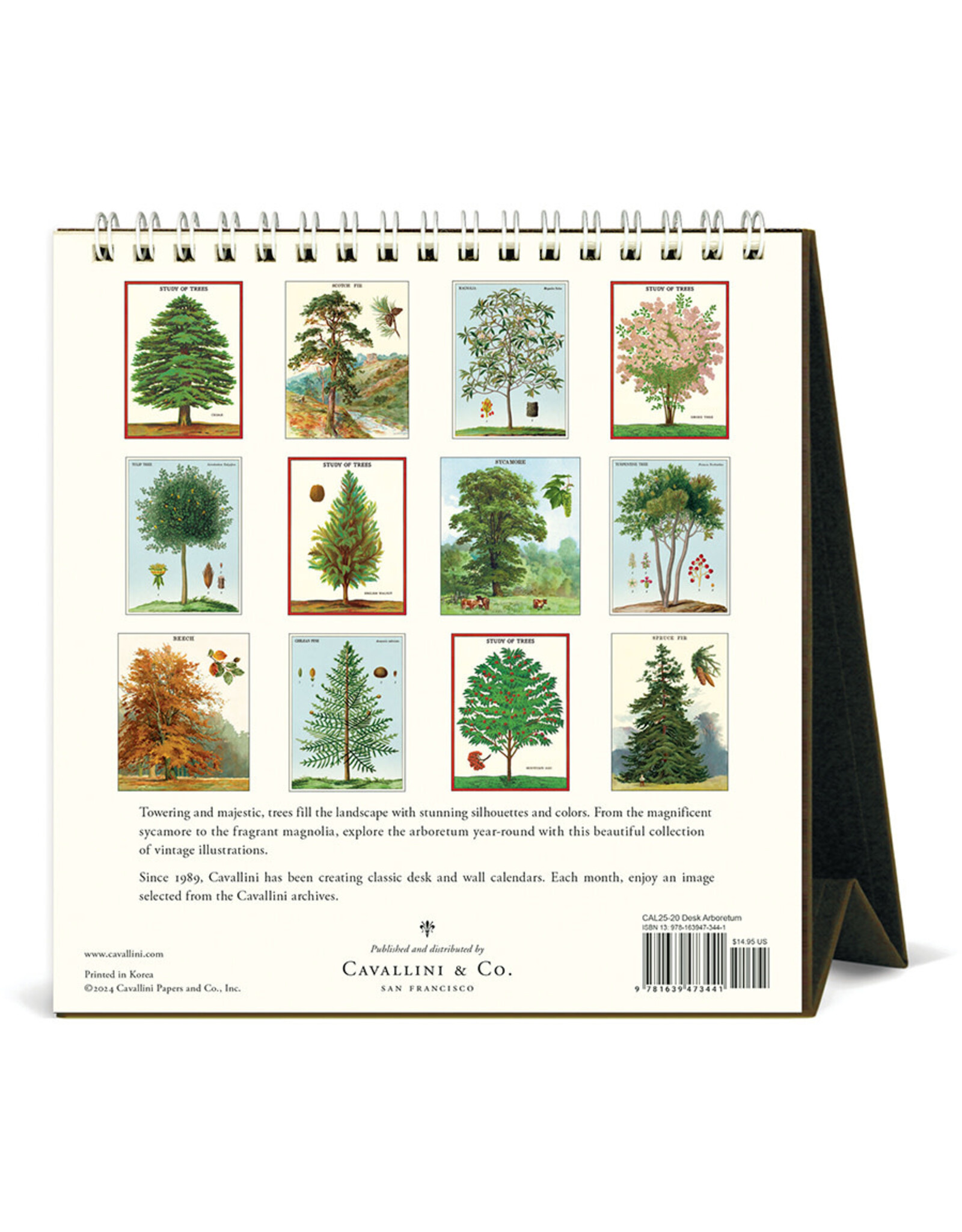 Cavallini Papers & Co. 2025 Desk Calendar Arboretum