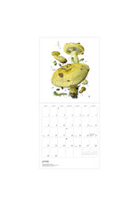 Pomegranate Mushrooms: Alexander Viazmensky 2025 Wall Calendar