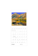 Pomegranate Phyllis Shafer: Nature Divine 2025 Wall Calendar