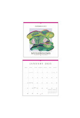 Paper Source 2025 Mushrooms Wall Calendar