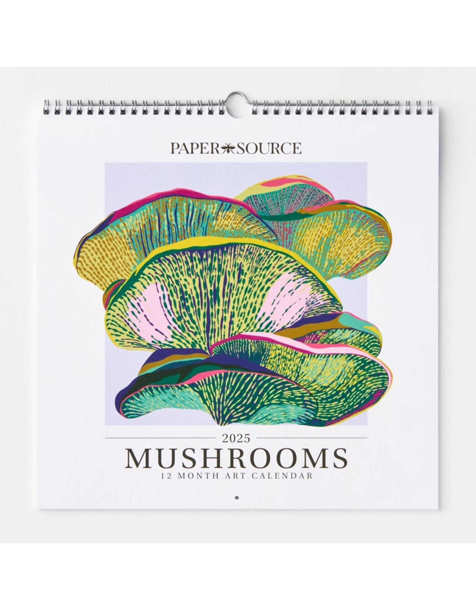 Paper Source 2025 Mushrooms Wall Calendar