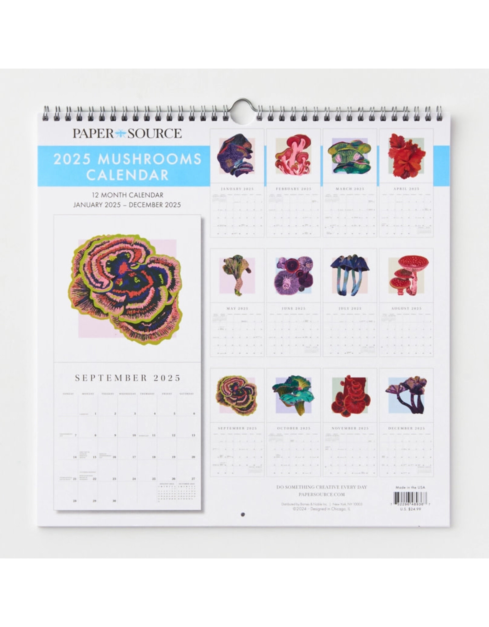 Paper Source 2025 Mushrooms Wall Calendar